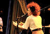 DSC_1608R.JPG: -
