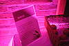 DSC_5096.JPG: -