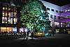 DSC_7187A.JPG: -