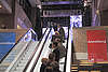 DSC_7194R.JPG: -