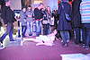 DSC_7581.JPG: -