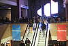 DSC_8546.JPG: -