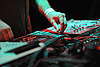 DSC_8567.JPG: -