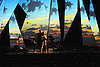 DSC_9017.JPG: -