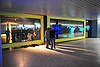 DSC_5000.jpg: -
