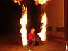 DSC08516.jpg: -
