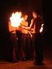 DSC08558A2.jpg: -
