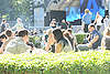 DSC_9406.JPG: -
