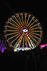 DSC_9563.JPG: -
