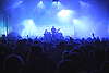 DSC_4206.JPG: -
